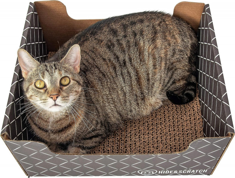 hide and scratch cat box