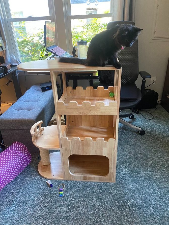 petomg modern cat tower in large