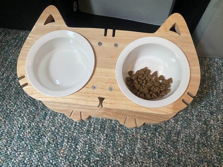 petomg elevated cat bowl double 