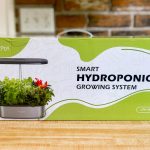 hydroponics letpot