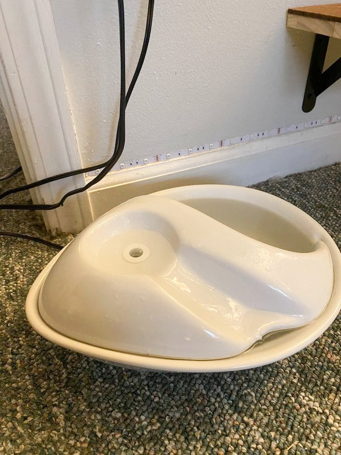 Pioneer pet teardrop cat fountain