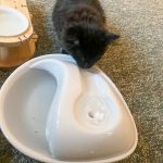 Pioneer pet ceramic cat fountain