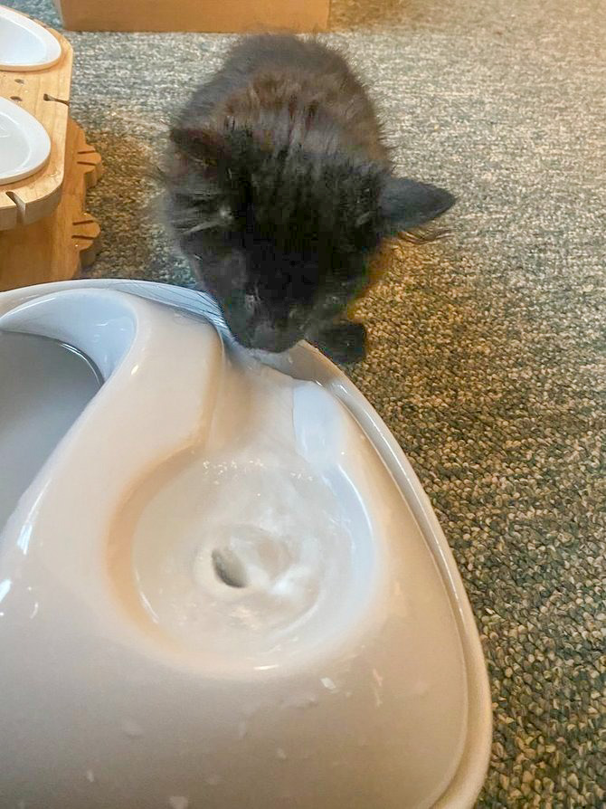 Pioneer Pet raindrop ceramic cat water fountain