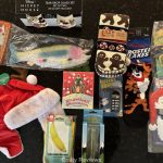 FUN.COM Gifts For All Of Your Holiday Games ~ Review