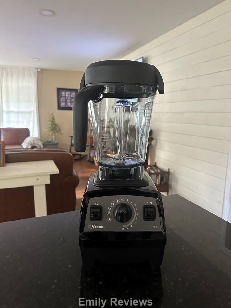 Vitamix Blender Spatula Review