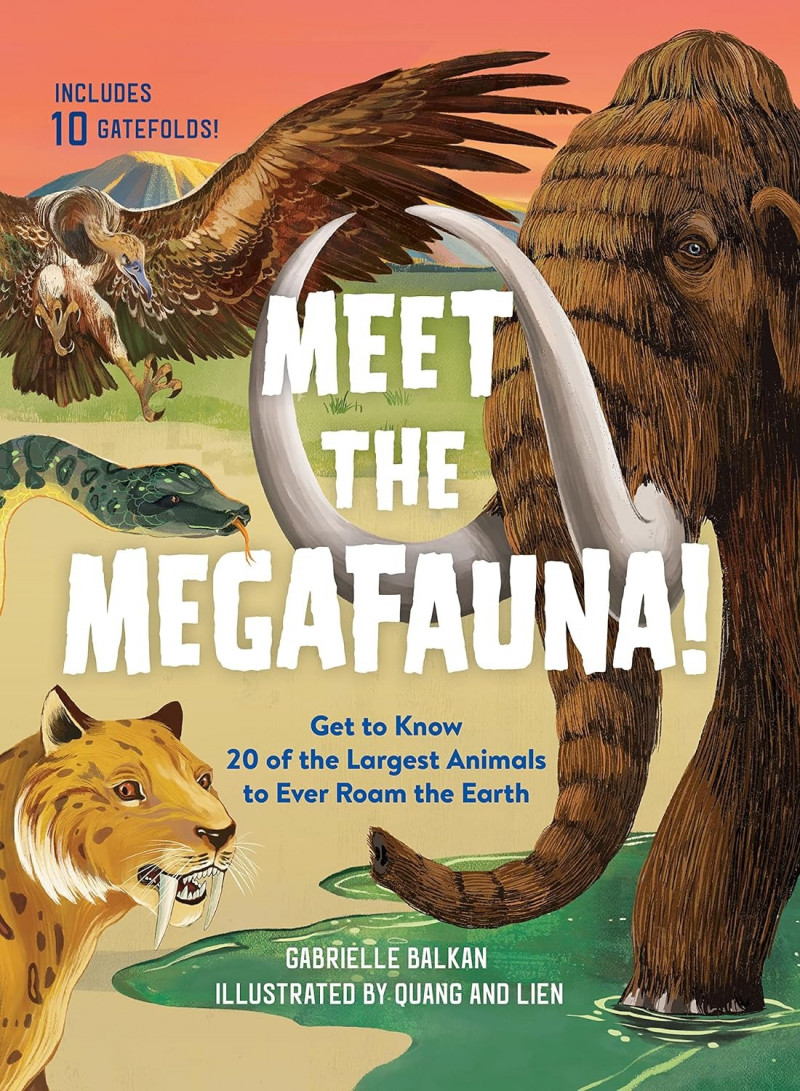 Meet The Megafuna book