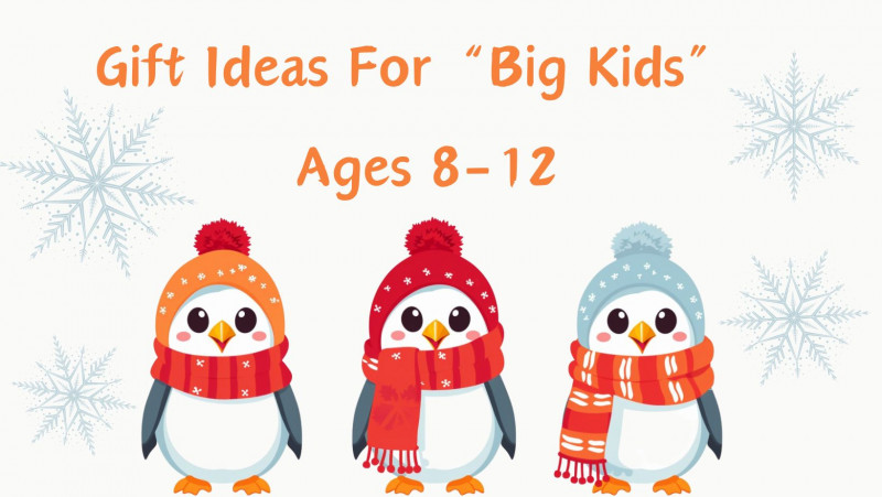 Gift ideas for big kids ages 8-12