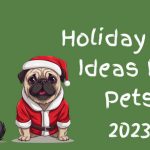 Pet Gift Ideas | 2023 Cat And Dog Gift Guide