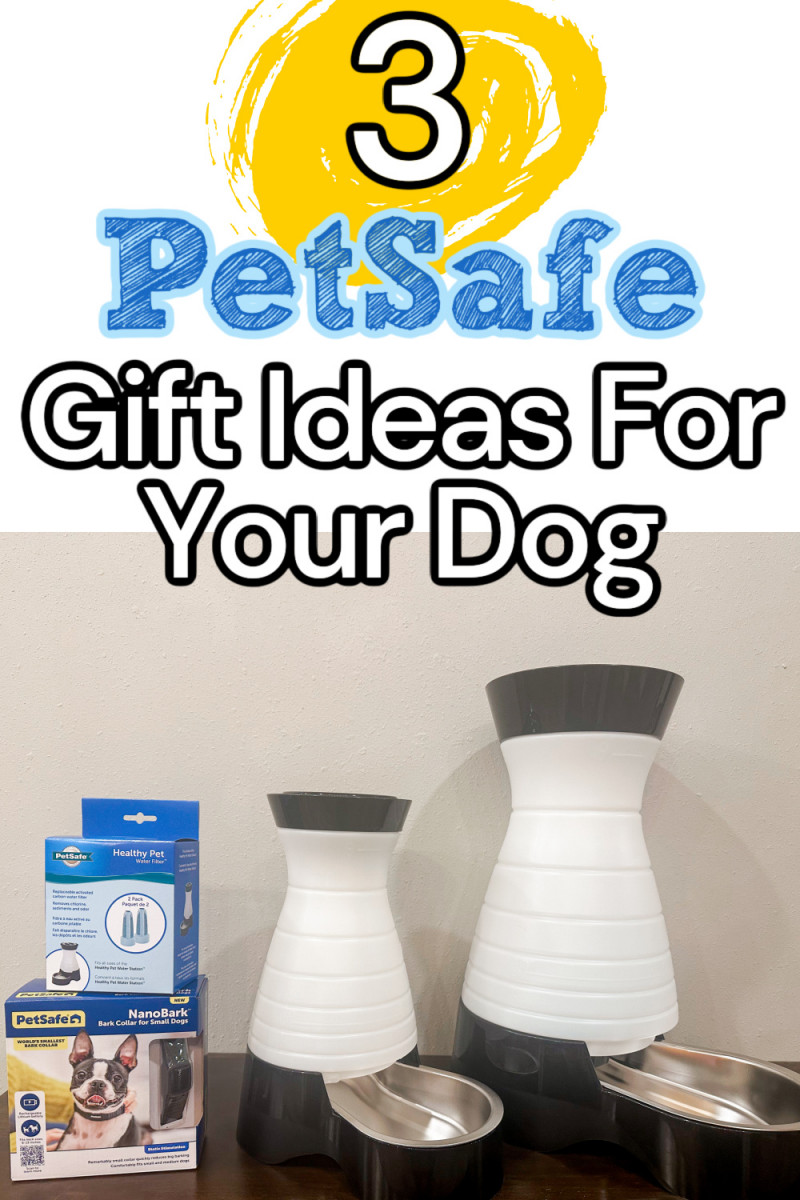 PetSafe Gifts For Your Dog!