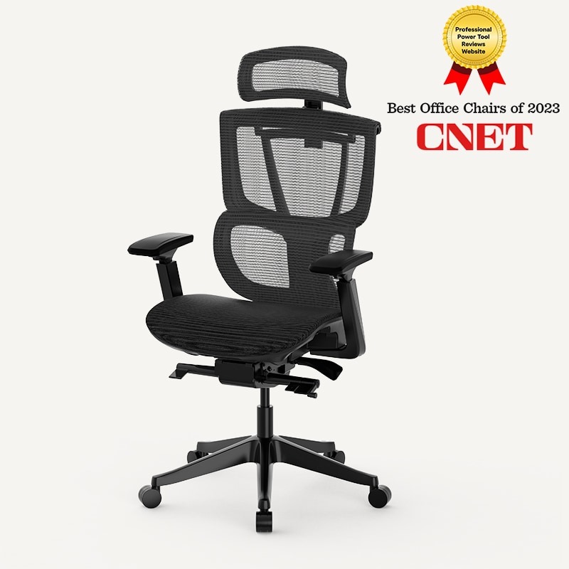 Flexispot C7 office chair