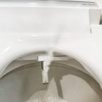 Bio Bidet BB-2000 Review