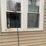 Kingsyard shepherds hook and bird feeder