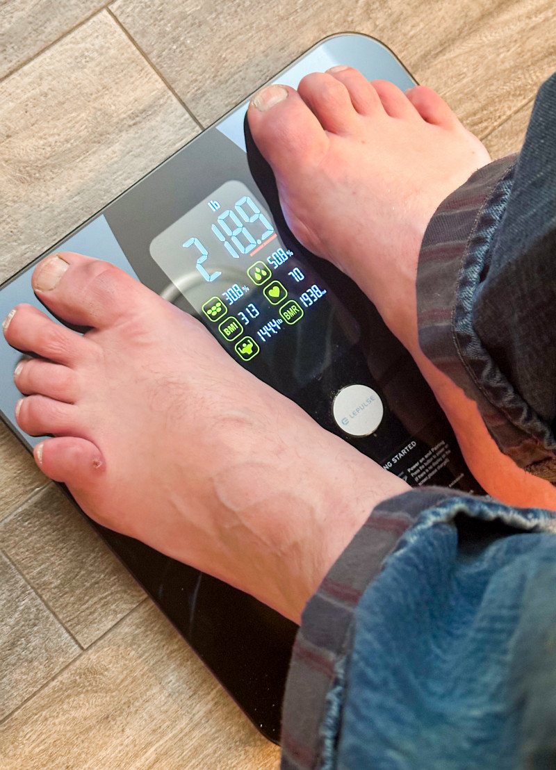 Lepulse Smart Body Fat Scales Review.