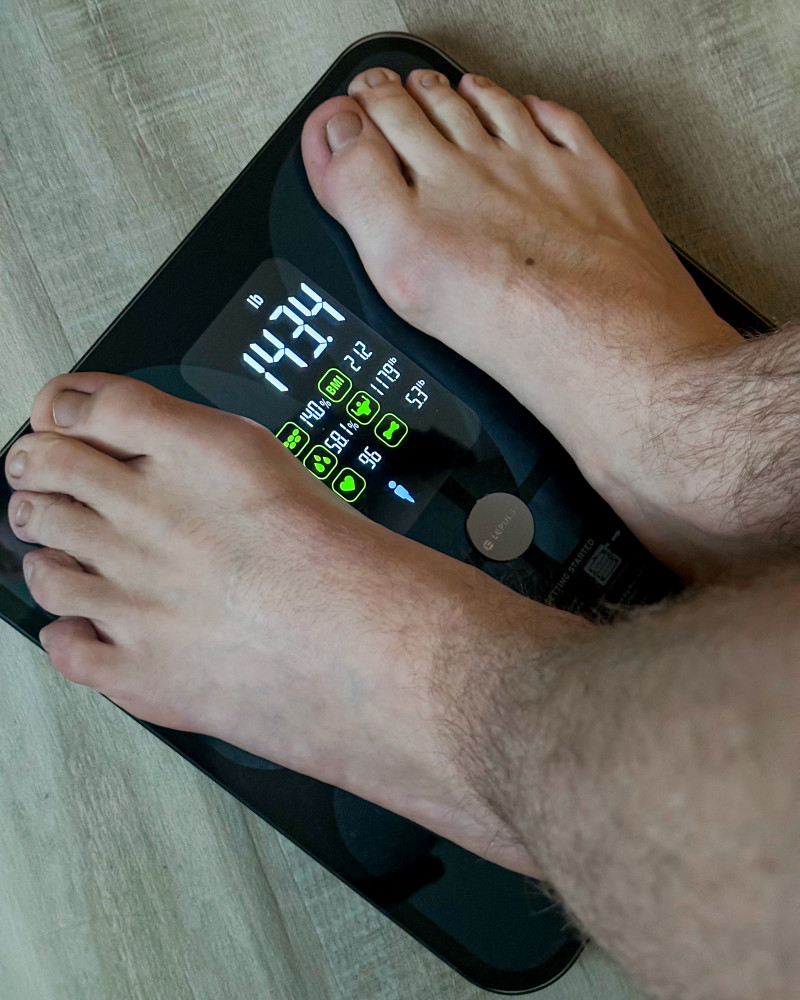 Lepulse Smart Body Fat Scales Review.