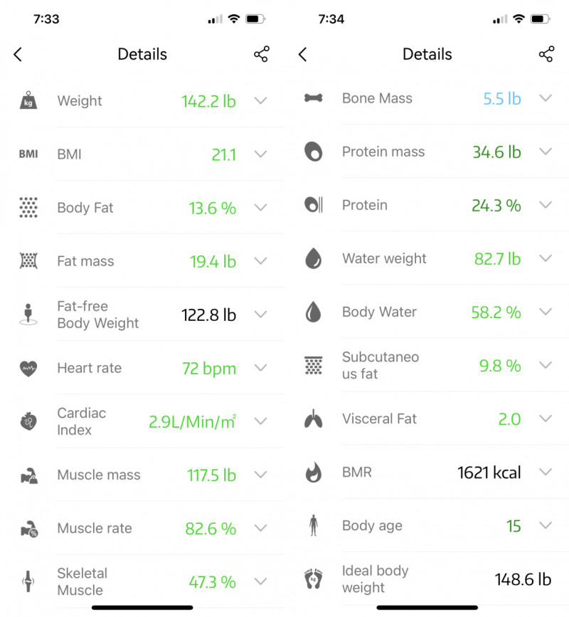 Lepulse Smart Body Fat Scales Review.