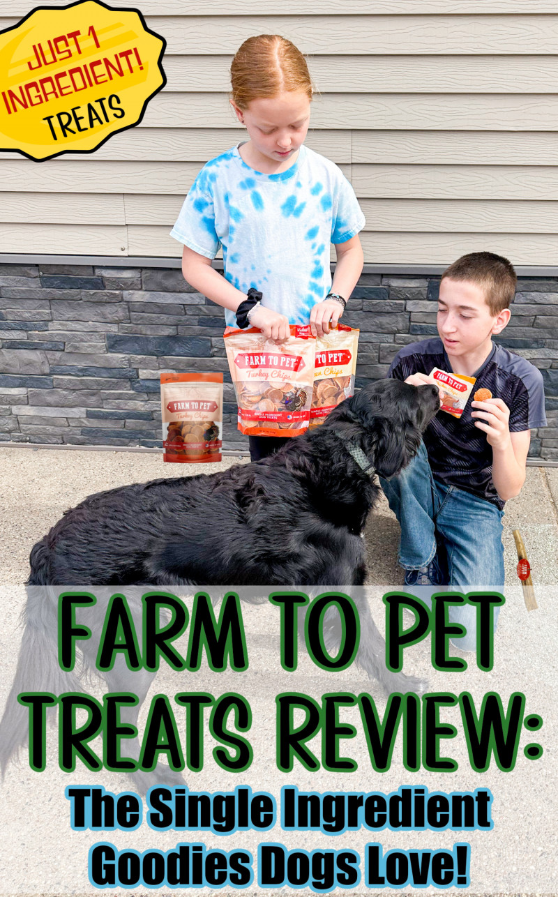 Farm To Pet Treats Review_ The Single Ingredient Goodies Dogs Love!