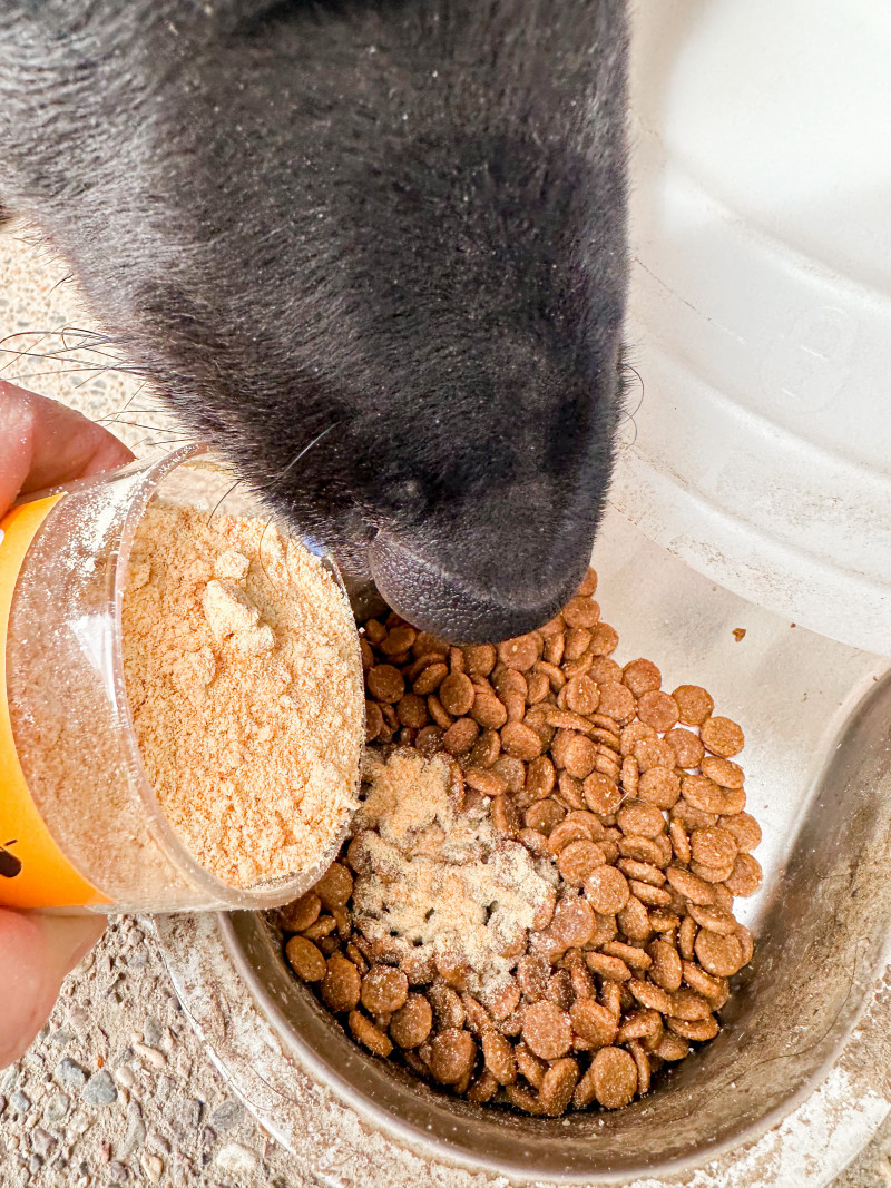 Farm To Pet Treats Review: The Single Ingredient Goodies Dogs Love!