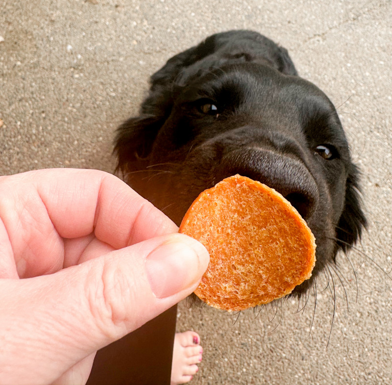 Farm To Pet Treats Review: The Single Ingredient Goodies Dogs Love!