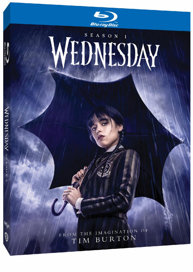 "Wednesday" Season One