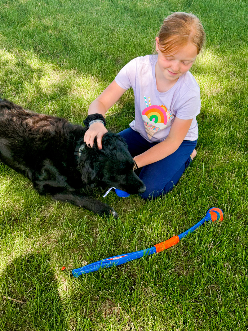 The PERFECT Summer Travel Toys (For Kids & Pets!)