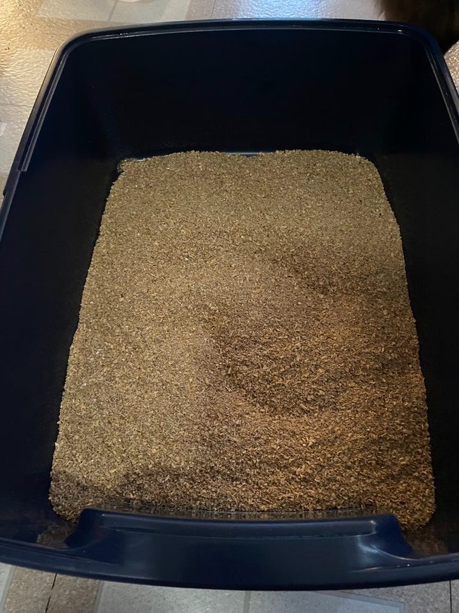 Soft wood cat litter