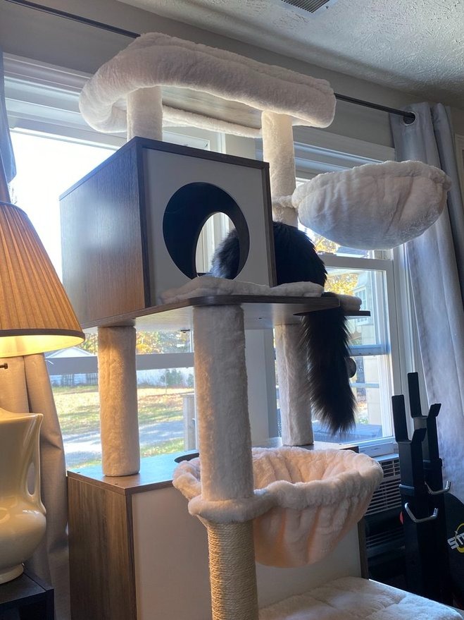 Feandrea modern cat tree