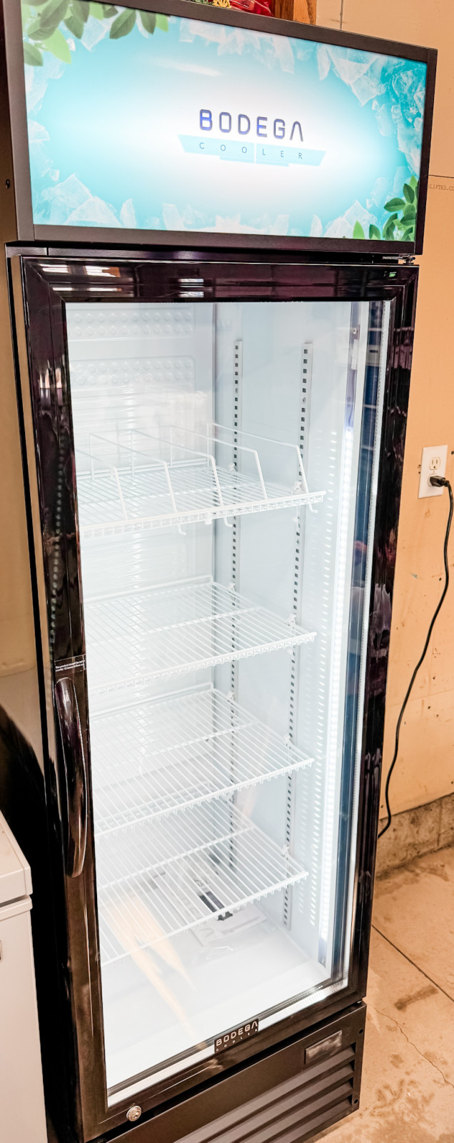BODEGA COOLER Commercial Beverage Refrigerator Review.