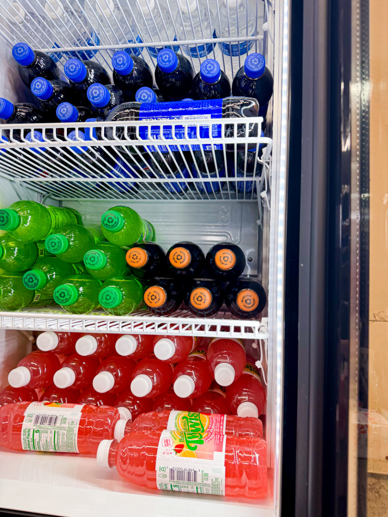 BODEGA COOLER Commercial Beverage Refrigerator Review.