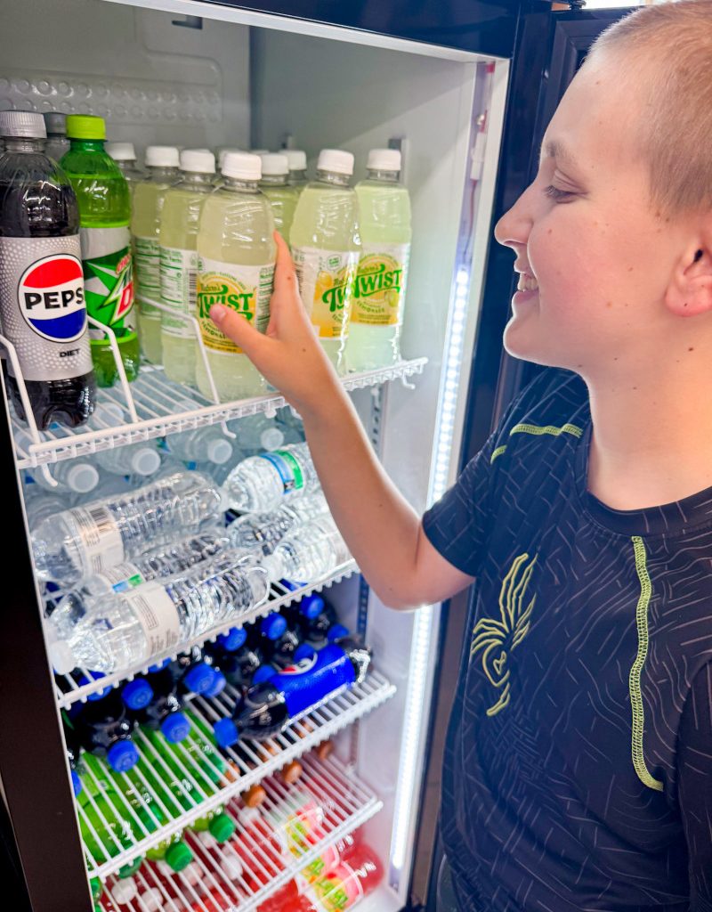 BODEGA COOLER Commercial Beverage Refrigerator Review.