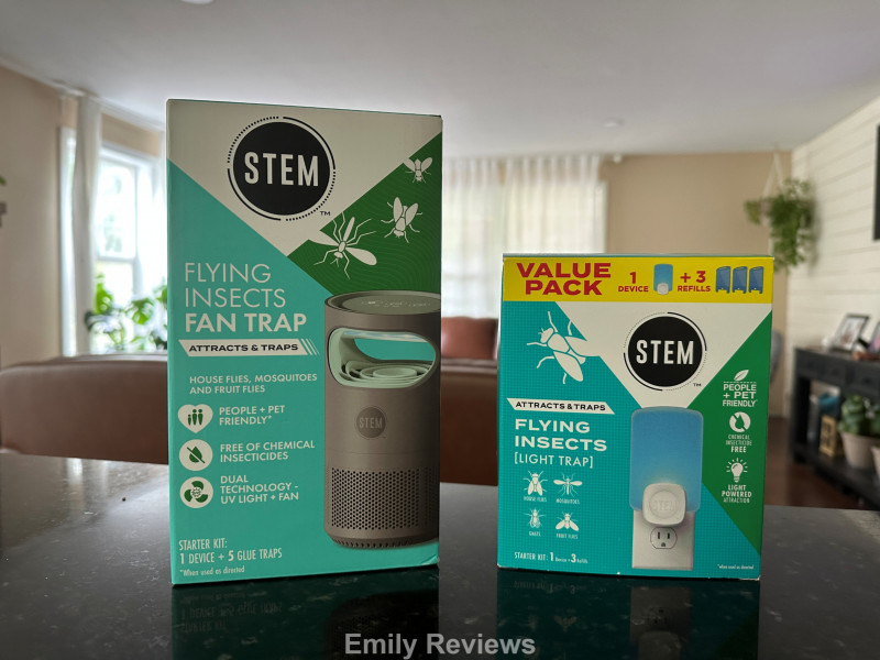 STEM Flying Insect Traps