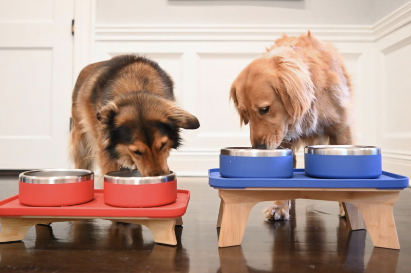 TROT Pets Feeder Set.