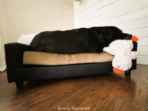 Club Nine Pets, Orthopedic Dog Bed, Dog Couch, Dog Furniture, Older Dogs, Pet Health, Spoiled Dog