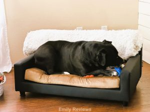 Club Nine Pets, Orthopedic Dog Bed, Dog Couch, Dog Furniture, Older Dogs, Pet Health, Spoiled Dog