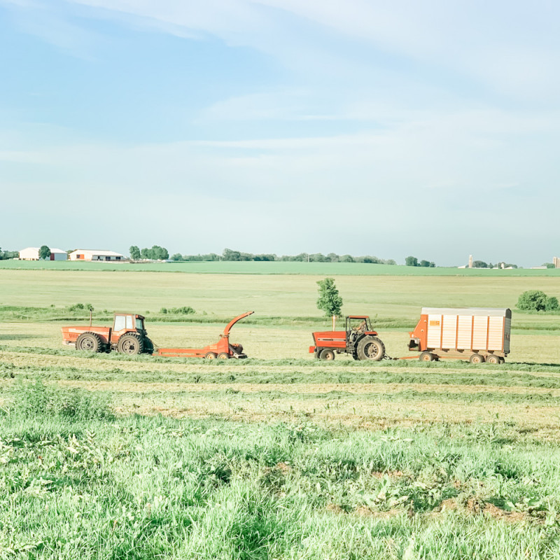 Farming tractors. Minnesota Summers For Our Farm Family.