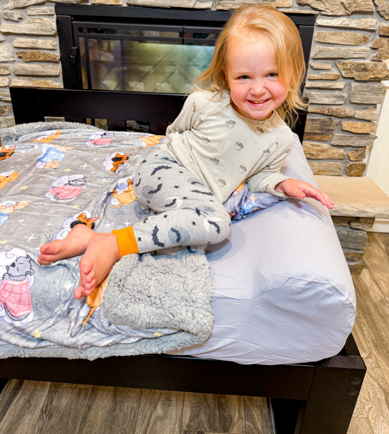 Sleepy Hippo Bedside Dog Bed Review.
