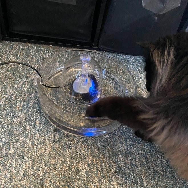 brook cat water fountain