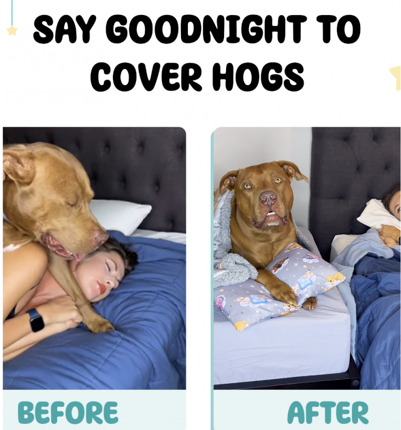 Sleepy Hippo Bedside Dog Bed Review.