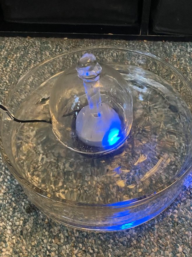 brook all-glass pet fountain