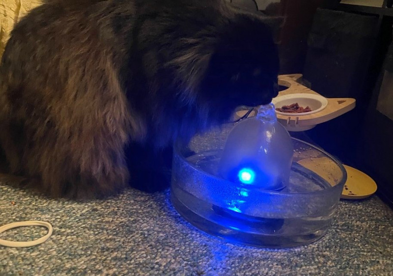 brook small pet water fountain