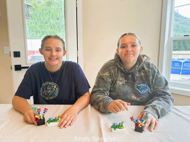 Sourcebooks, Teen Lego Kits, Adult Lego Kits, Lego Flowers, Lego Botanicals, Lego Gifts