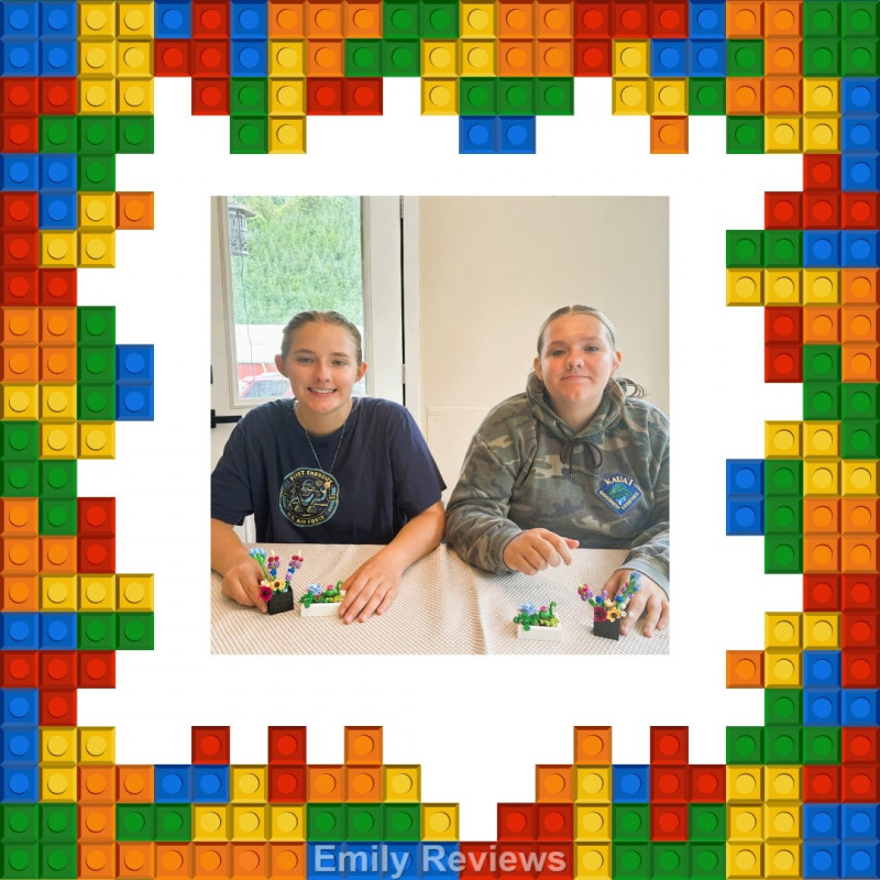 Sourcebooks, Teen Lego Kits, Adult Lego Kits, Lego Flowers, Lego Botanicals, Lego Gifts