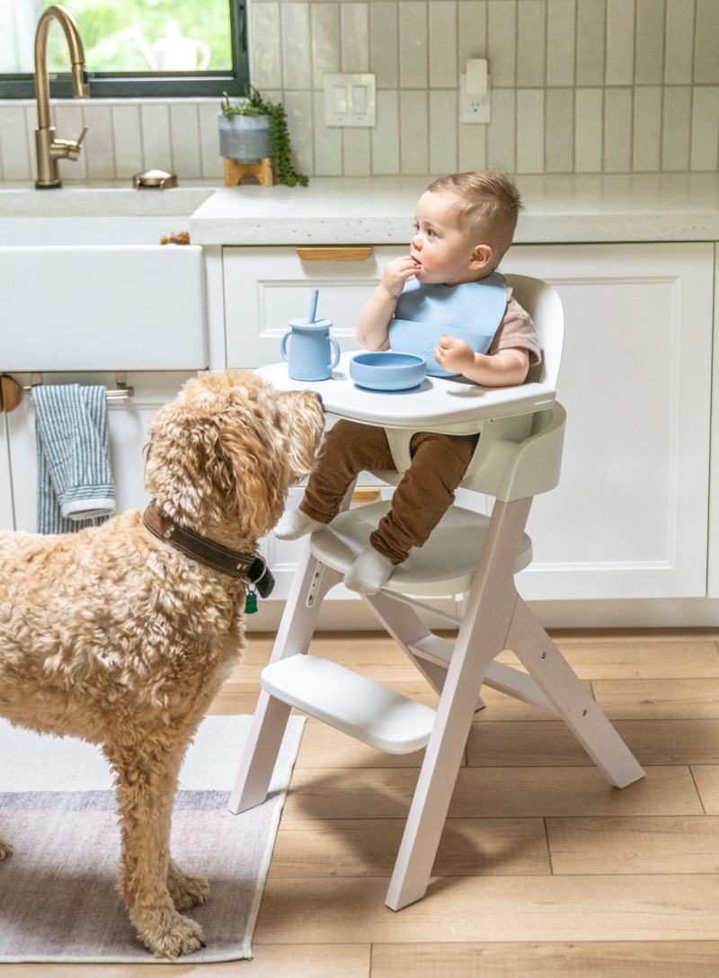 Mockingbird High Chair Review. 