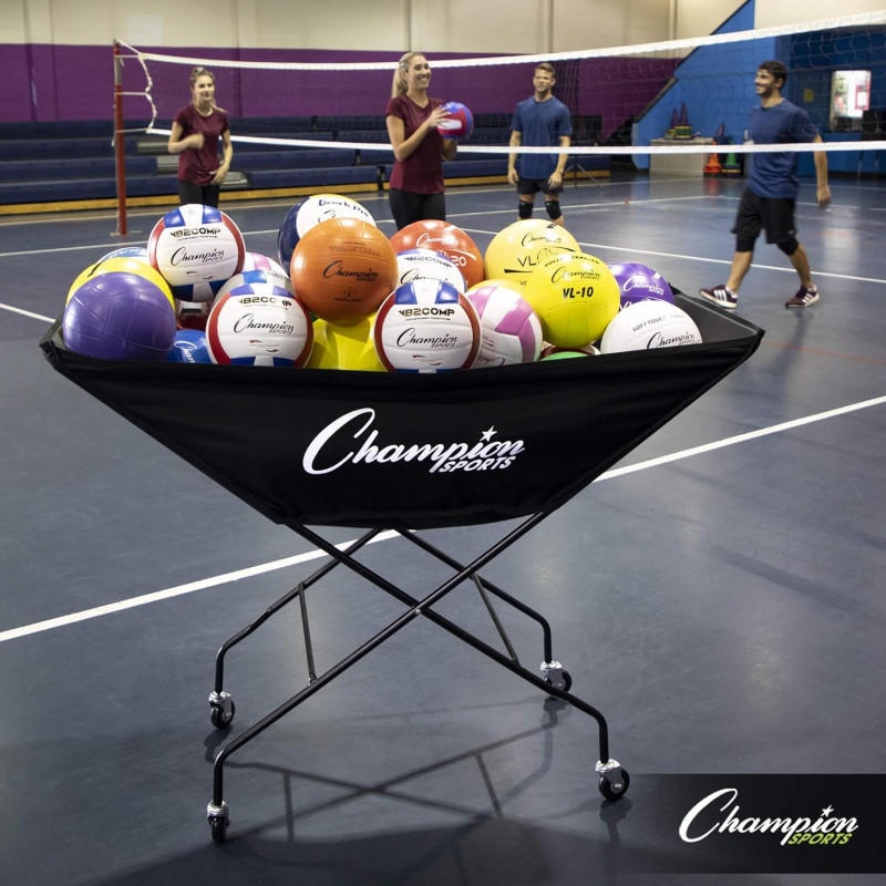 Volleyball, School Sports, Club Volleyball, Volleyball Academy, Volleyball Gear, Volleyball Supplies, Volleyball Gifts