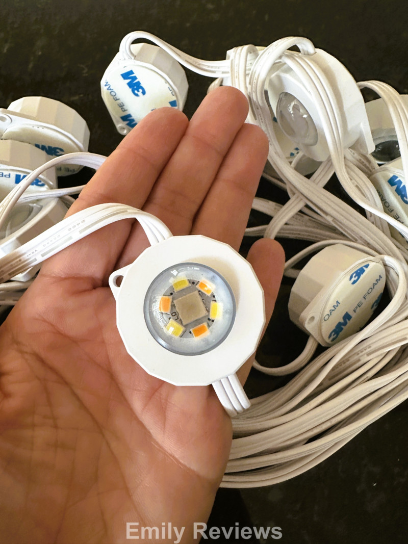Lepro, LED Lights, Outdoor Lighting, Permanent Lights, AI Lighting, Alexa Lighting, Voice Control Lights, App Controlled Lighting, Lights On Timers, Curb Appeal, Holiday Lights 