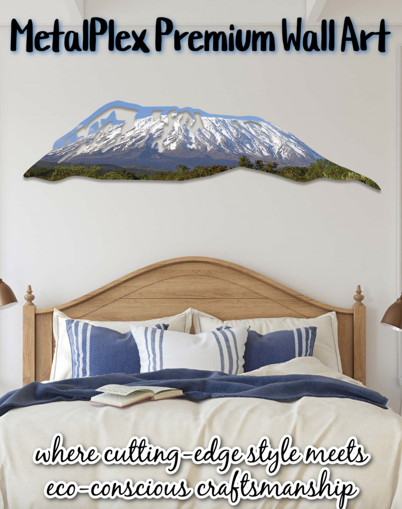 MetalPlex Premium Wall Art Review.