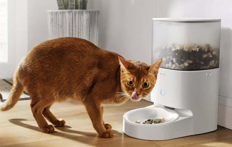 Homerunpet Smart Automatic Cat Feeder.