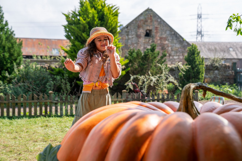 Grow: In Theaters Starting October 17! (+ Amazon Gift Card Giveaway).