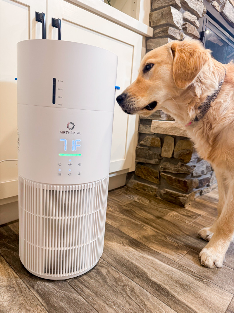 Airthereal: AEH300 Air Purifier & Humidifier Combo Review + Giveaway.