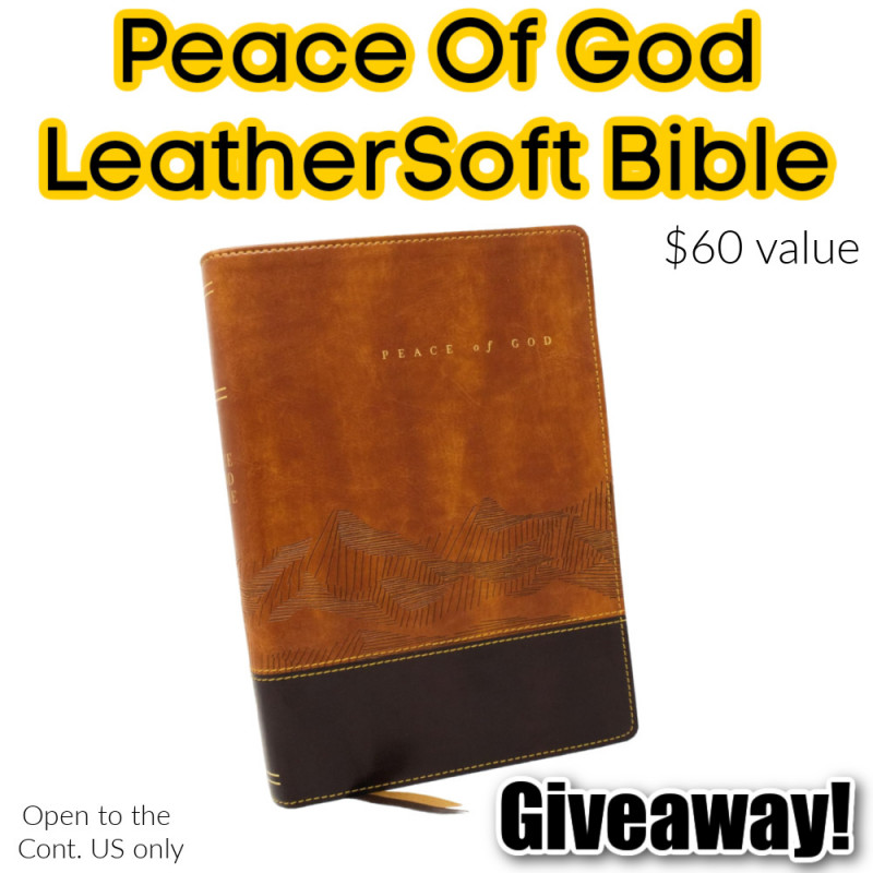 Peace Of God Bible Review + Giveaway.