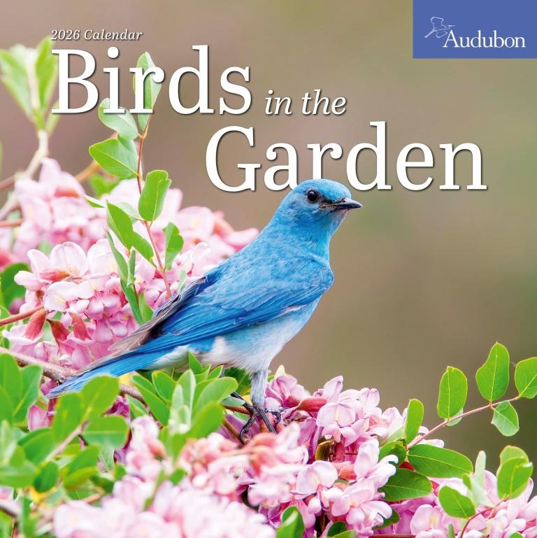 birds in the garden calendar